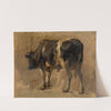 Bull by Andre Plumot