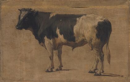 Bull