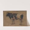Bull by Andre Plumot