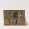 Bull by Andre Plumot