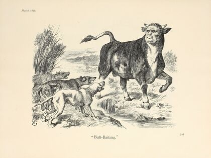 Bull-Baiting