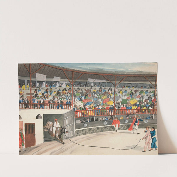 Bull Fight by Francisco Fierro