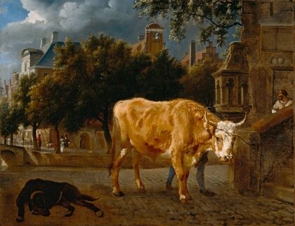 Bull in a City Street