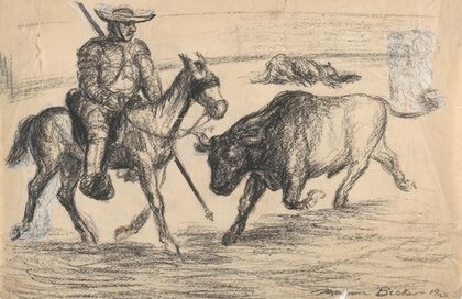 Bullfight