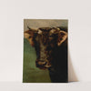 Bull&#039;s head by Thaddeus Welch
