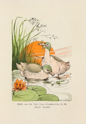 Bully saw the baby frogs disappearing in the Ducks’ mouths