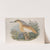 Buphus comatus. Squacco Heron. (1862-1873) by John Gould