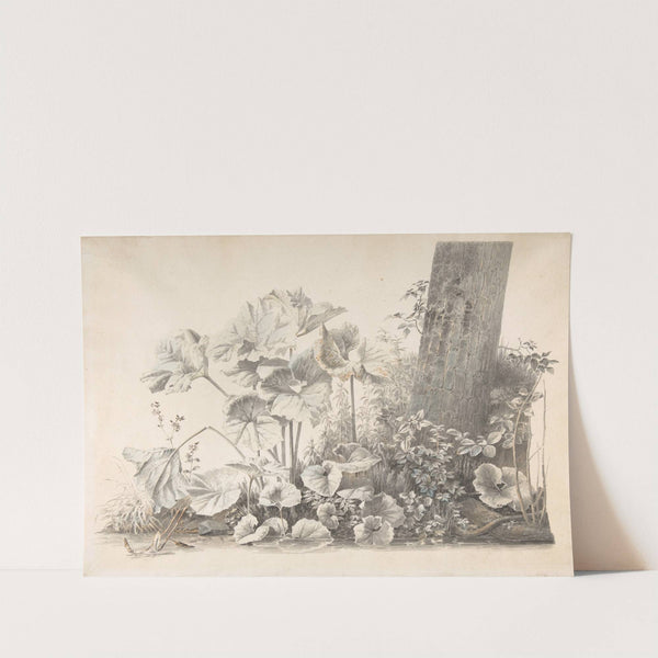 Burdocks, Campions and Brambles by a Treetrunk on a River Bank by Christoph Heinrich Kniep