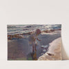Buscando mariscos, playa de Valencia by Joaquín Sorolla