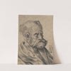 Bust of a Bearded Old Man by Urs Graf