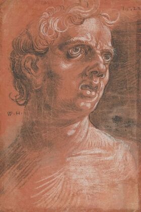 Bust of a Man (1522)