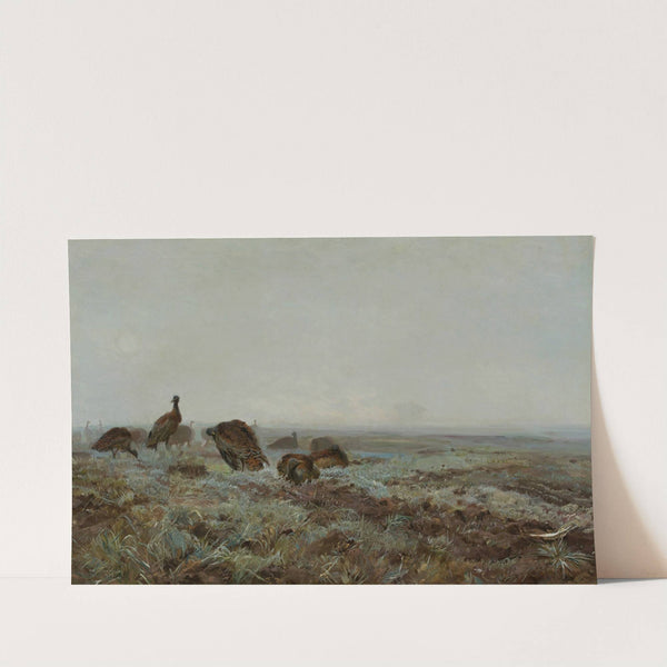 Bustards by Jozef Chelmonski