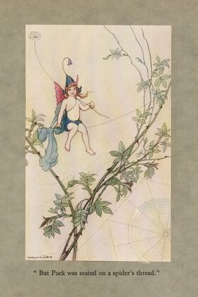 ‘But Puck was seated on a spider’s thread.’