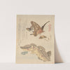 Butterflies and moths, from the series A Flock of Butterflies (Gunchō Gafu) by Kubo Shunman