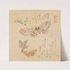 Butterflies and moths, from the series A Flock of Butterflies (Gunchō Gafu) by Kubo Shunman