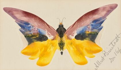 Butterfly (1890)
