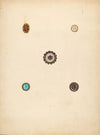 Buttons
