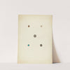 Buttons by Charlotte Winter