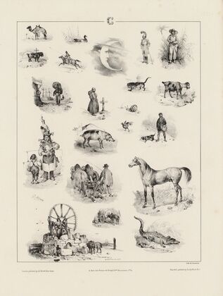 C (1833) — size preview