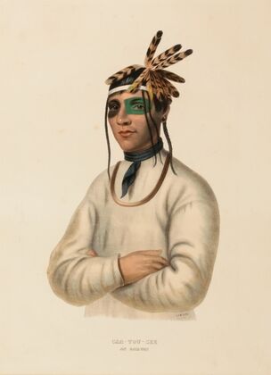 Caa-Tou-See. An Ojibway