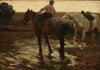 Caballos