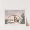 Cabocle, (Indien civilisé) (1834 - 1839) by Jean Baptiste Debret