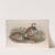 Caccabis rubra. Red-legged Partridge. (1862-1873) by John Gould