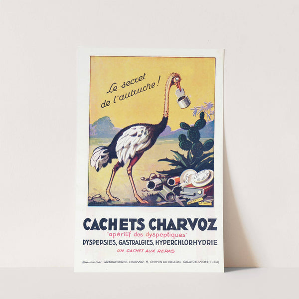 Cachets Charvoz (1910-1950) by Laboratoires Charvoz