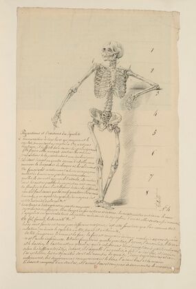Cahiers d’Anatomie Pl.03 (18th Century) — size preview