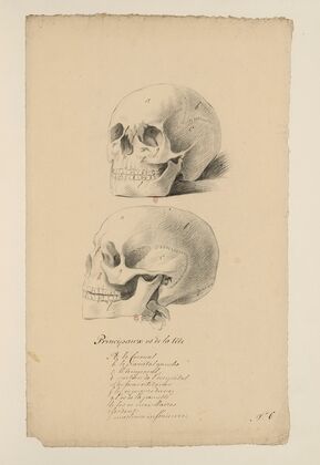 Cahiers d’Anatomie Pl.05 (18th Century)