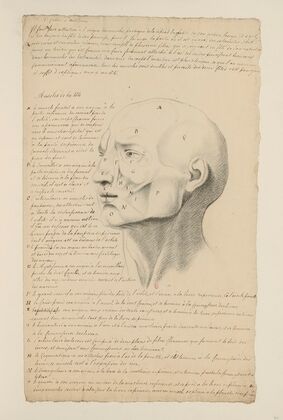 Cahiers d’Anatomie Pl.06 (18th Century)