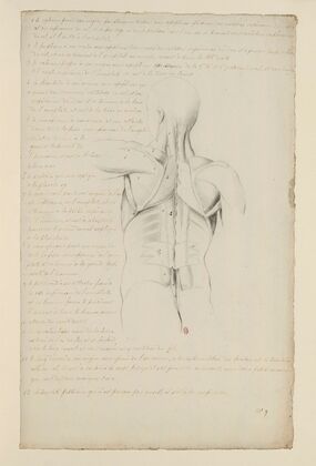 Cahiers d’Anatomie Pl.08 (18th Century)
