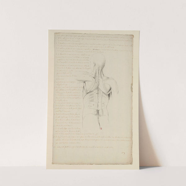 Cahiers d’Anatomie Pl.08 (18th Century) by Charles Monnet