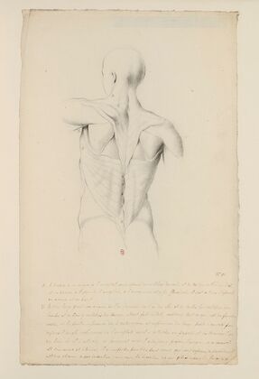 Cahiers d’Anatomie Pl.09 (18th Century)