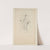 Cahiers d’Anatomie Pl.09 (18th Century) by Charles Monnet