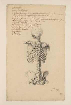 Cahiers d’Anatomie Pl.10 (18th Century)