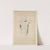 Cahiers d’Anatomie Pl.11 (18th Century) by Charles Monnet