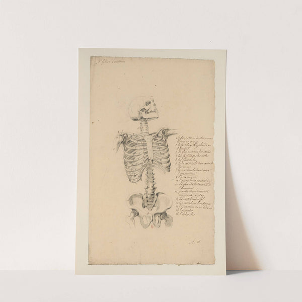 Cahiers d’Anatomie Pl.12 (18th Century) by Charles Monnet