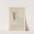 Cahiers d’Anatomie Pl.13 (18th Century) by Charles Monnet