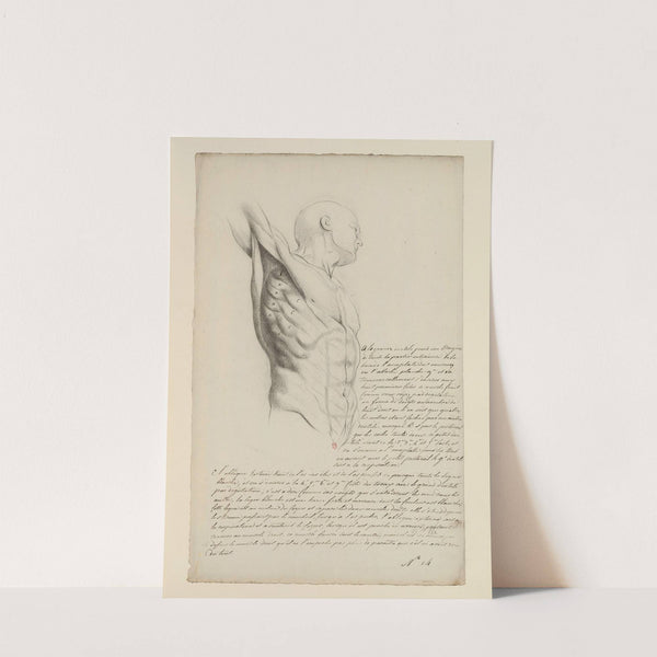 Cahiers d’Anatomie Pl.13 (18th Century) by Charles Monnet