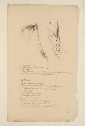 Cahiers d’Anatomie Pl.17 (18th Century)