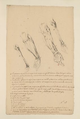 Cahiers d’Anatomie Pl.22 (18th Century)