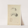 Cahiers d’Anatomie Pl.23 (18th Century) by Charles Monnet
