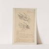 Cahiers d’Anatomie Pl.27 (18th Century) by Charles Monnet