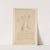 Cahiers d’Anatomie Pl.29 (18th Century) by Charles Monnet