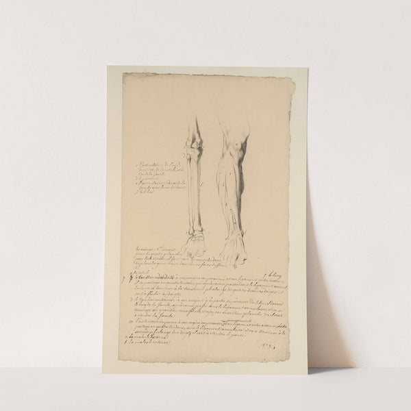 Cahiers d’Anatomie Pl.30 (18th Century) by Charles Monnet