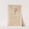 Cahiers d’Anatomie Pl.31 (18th Century) by Charles Monnet