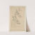Cahiers d’Anatomie Pl.36 (18th Century) by Charles Monnet
