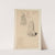 Cahiers d’Anatomie Pl.37 (18th Century) by Charles Monnet