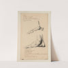 Cahiers d’Anatomie Pl.39 (18th Century) by Charles Monnet